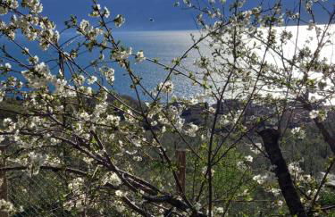 Casa del Codirosso - Foto 29
