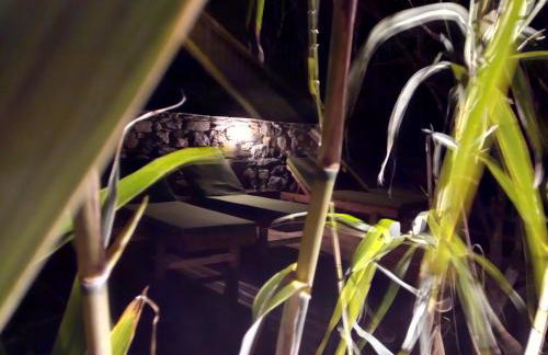 Studios Kyparissi & Spa - Photo 80