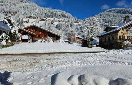 Demi-Chalet Vadel La Panthiaz 15 Pers 5 chambres - Foto 54
