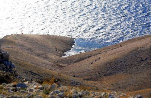 Apartments Niko Metajna, island Pag - Foto 6