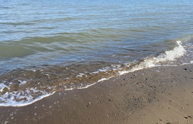 "Ovine" - 300m from the sea - Foto 6