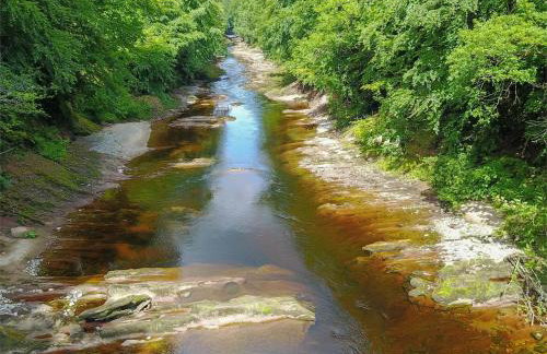 1 Bed in Brechin oc-ca217 - Foto 14