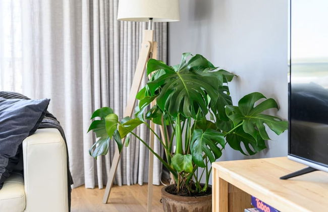 Your Ocean Oasis Ocean Country Views Spa Pet Friendly Fireplace - Foto 37