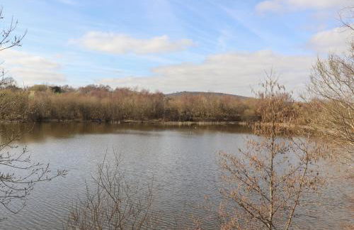 27 Green Road - Foto 19