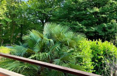 Lake & Nature Apartment - Foto 20