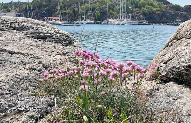 2 Person Holiday Home in Ellos-by Traum - Foto 8