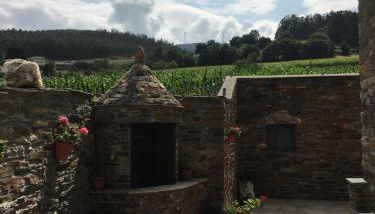 Apartamentos Carola - Foto 5