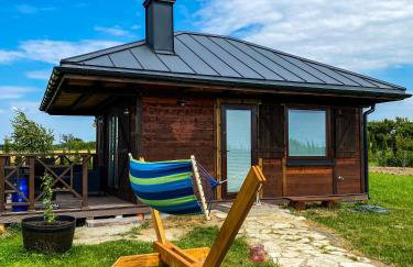 Luksusowe całoroczne domki z widokiem Janowiec - Foto 49