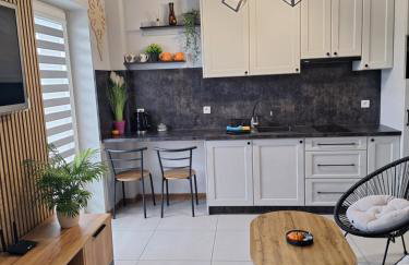 Apartament Górska Szarotka - Foto 4