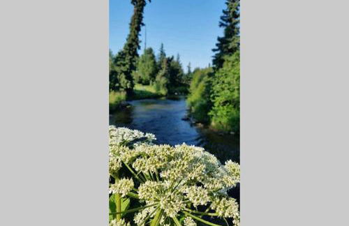 The Moose Crossing - Foto 38