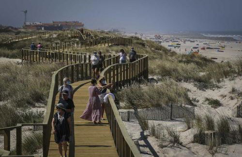 Bird’s Home - Foto 59