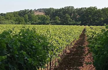 La Torre Rasa - Foto 125