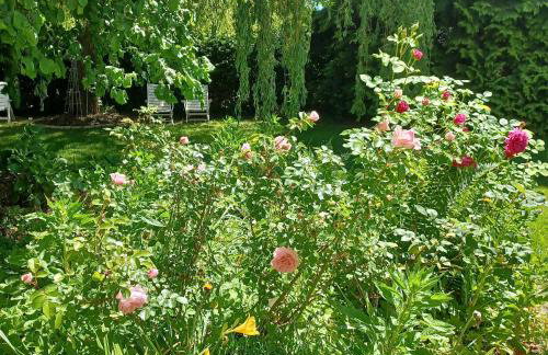 Ferienwohnung Stadt-Land-Fluss - Foto 57
