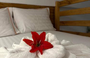 Pinelopi’s House - Foto 45