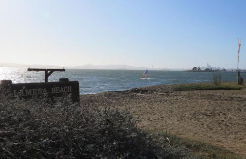 Garden Level Flat in 1885 Queen Anne Victorian Cottage in Alameda - Foto 49