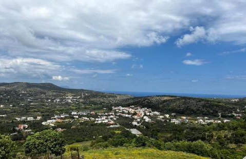 BIO Garden Stonehouse - Foto 61