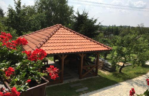 W Starym Sadzie - Foto 36