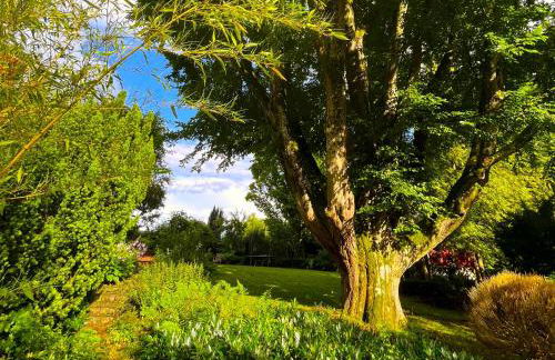 Atelier Seeshaupt - Foto 42