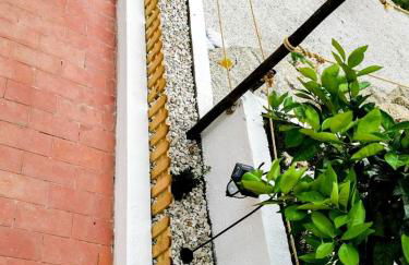 O Refúgio - Foto 49