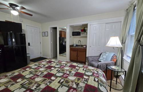 Saranac Lake Studio Apartment - Foto 11