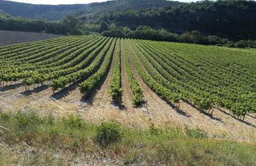 Montloubier - Photo 67