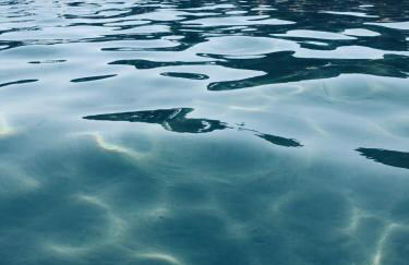 Punta Ala - Tra mare e natura - Foto 27