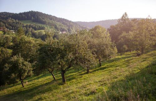 Pasieka - Dom Wypoczynkowy - Foto 51