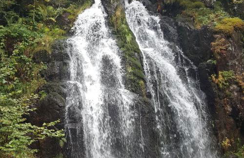 Gîte élégant en pleine nature avec terrasse, départ randonnées, parking privé et équipements inclus - FR-1-589-384 - Foto 14