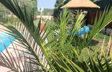 Le gite de lOlivier en Provence - Foto 1