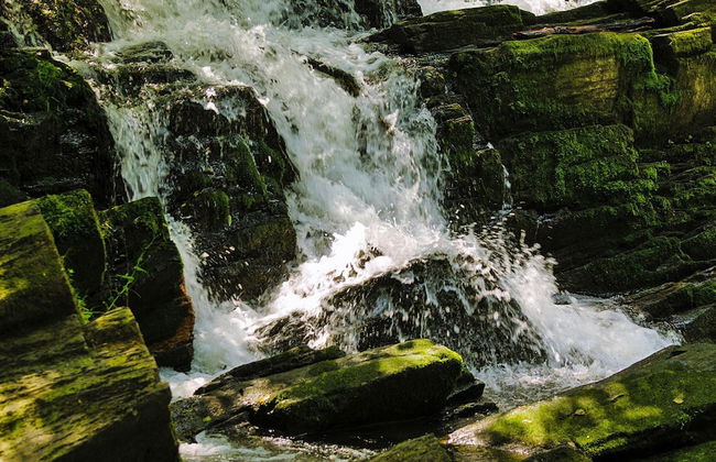 Log Cabin in Hasselfelde Near Harzer-hexen-stieg - Foto 22