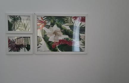 Herdade das Castas Nobres - Foto 23