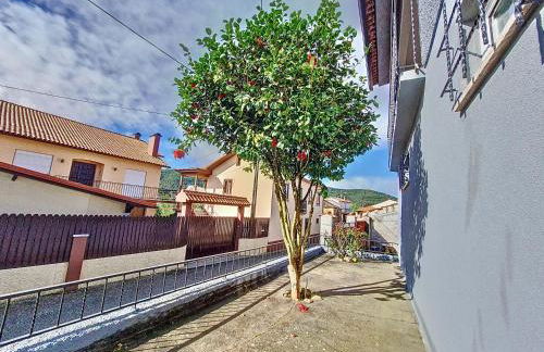 Cantinho da Lourdes e Tonito Nº 136193/AL - Foto 57