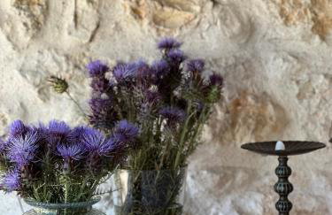 Casa da Mata - Photo 65