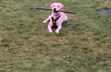 Hillgarth Holiday House - Foto 34