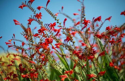 Park House Hotel - Foto 58