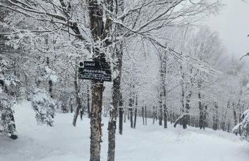 Chandler Hill Base Camp - Enjoy A Nature Getaway in this Rustic Home in the Mountains, 10 minutes from Sunday River Ski Mountain! home - Foto 41
