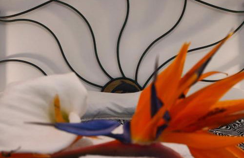 Baia del Conte Apartments Porto Cesareo - Appartamenti in villa sul mare Tabu-Dune - Foto 14