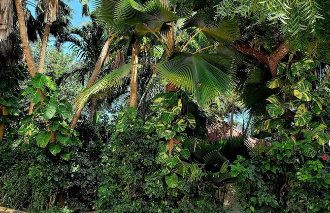 Sophia Baharini Diani Apartments - Foto 33