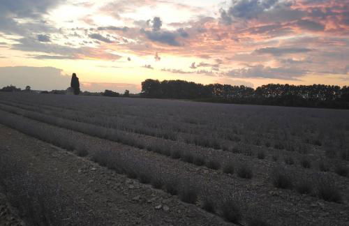 Abrivado Aimargues en petite camargue, parking intérieur, wifi, jardin - Foto 50