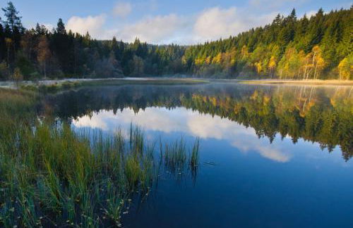 Haus Leufke - Foto 16