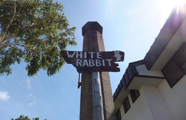 Rental Lodge WHITE RABBIT Madarao kogen Cottage RABBIT - Photo 28