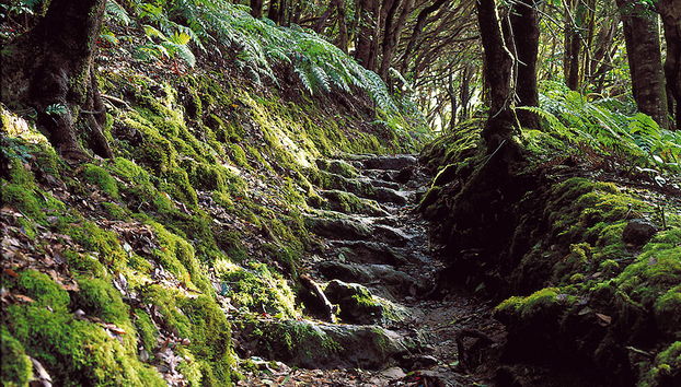 La Gomera - From the North of the Island - Foto 5