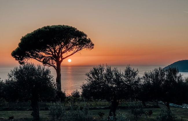 Talici Hill - Rustic Villas - Foto 49