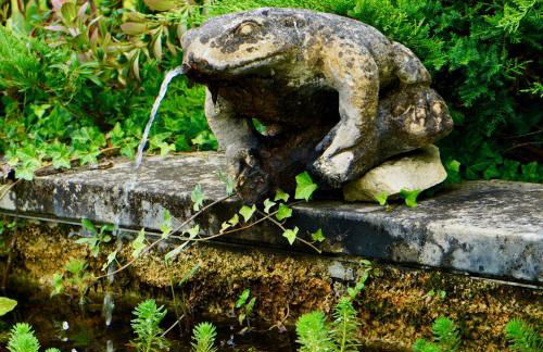 Le Bon Chemin gite - Foto 41