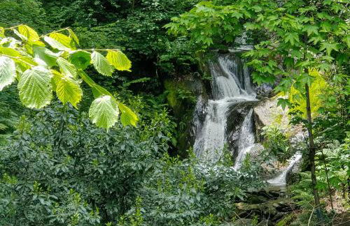 Borgo Antico - Foto 21