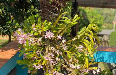 Chácara das Pedras Acolhedor, Alegria, Refúgio - Photo 74