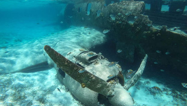 Rosario Islands Day Trip - Foto 3