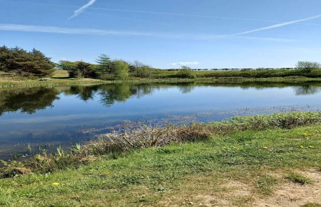 4 Person Holiday Home in Toftlund - Foto 30