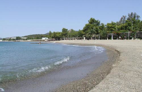 Ktima Develekou - Foto 43