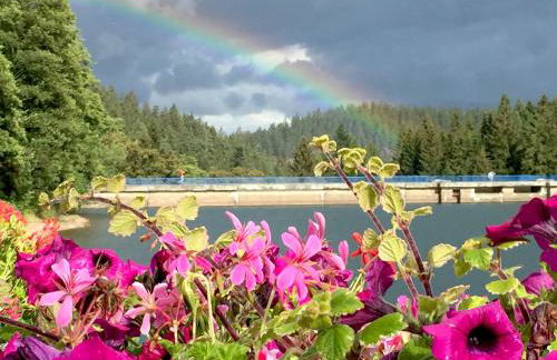 Holidayhaus Lütsche - Photo 18